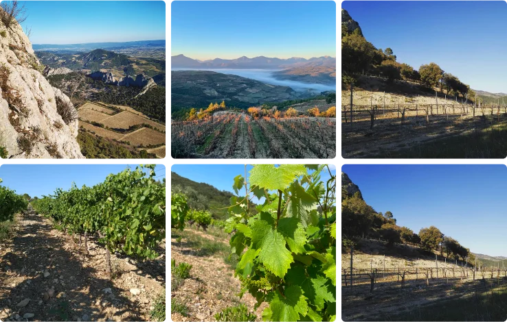 photo de paysage et de vignes en occitanie