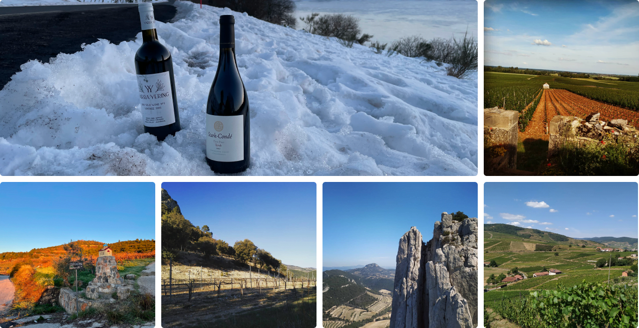 multiples photos de vignes et de paysages en occitanie