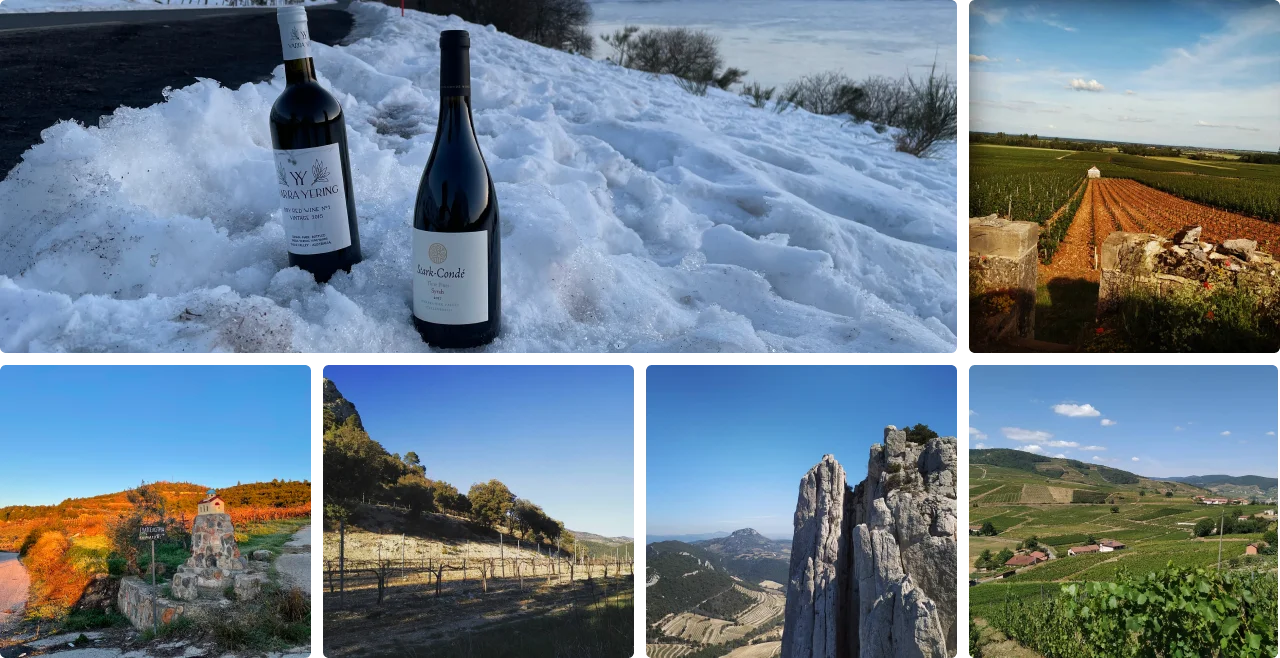 multiples photos de vignes et de paysages en occitanie